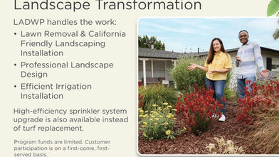 LADWP Landscape Efficiency Assistance Program 