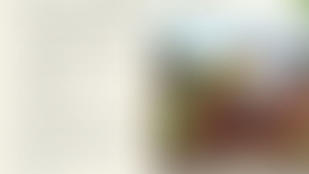 LADWP Landscape Efficiency Assistance Program 