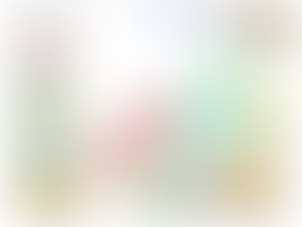 LAPD Devonshire Area Basic Car Map