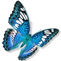 Mediumship Book Editor