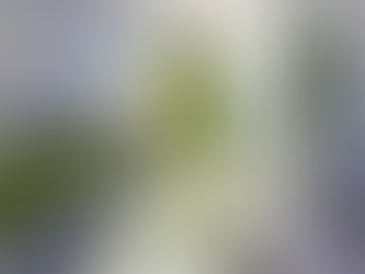 Inside/Outside: The Architecture of Connection