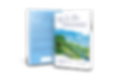 My Twin Flame Journey book cover by V.C. Pitt spiritual memoir