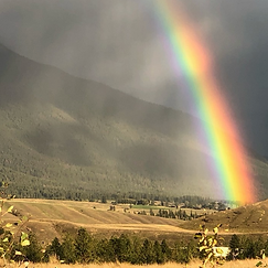 Gold Conversations.png