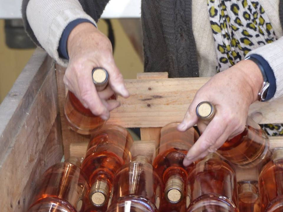 vin pour site 3