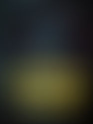 Book Review: The Butcher and the Wren by Alaina Urquhart