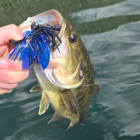 Bass a Jig Black e Blue