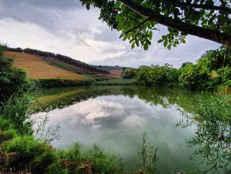 Il primo lago in cui ho pescato