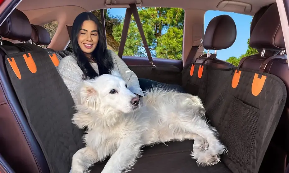 Back_seat_Extender_for_Dogs_in_the_Car_Cover_with_Hard_Bottom_-_Backseat_protector_Pet_Ham