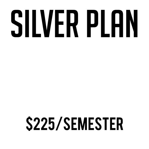 SILVER.gif