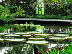 حديقة التوابل الاستوائية