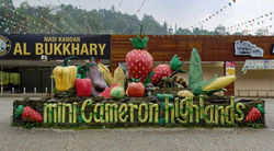 كاميرون الصغيرة