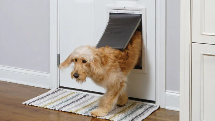 dog door.jpeg