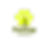 Petflap copy.png