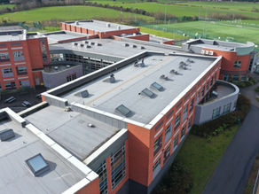 How can VELUX® Windows benefit my business?