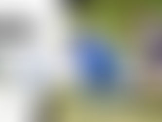 PENZANCE 3, LISKEARD ATHLETIC 4