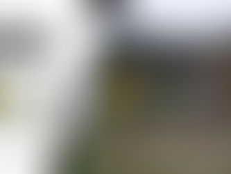 ST DAY 2, PENZANCE 1