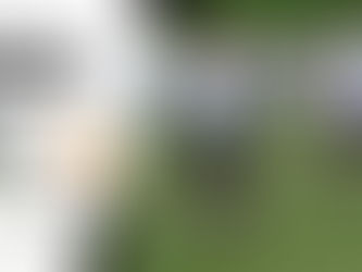 PENZANCE 4, WADEBRIDGE TOWN 1