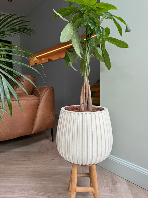 3D print bloempot