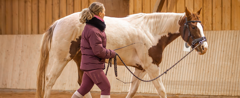 Pferd in der Bodenarbeit mit Therapeutin in der Reithalle. Ganzheitliches Pferdetraining bei Tierphysio Nürnberg
