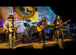 sonicseason_vauban (5)_edited.jpg