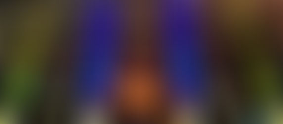 University of Akron Lights Up Polsky Building