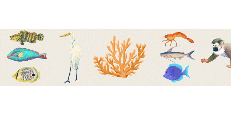 ilustbarra 1_LOW.gif