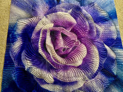 Dream Big Rose