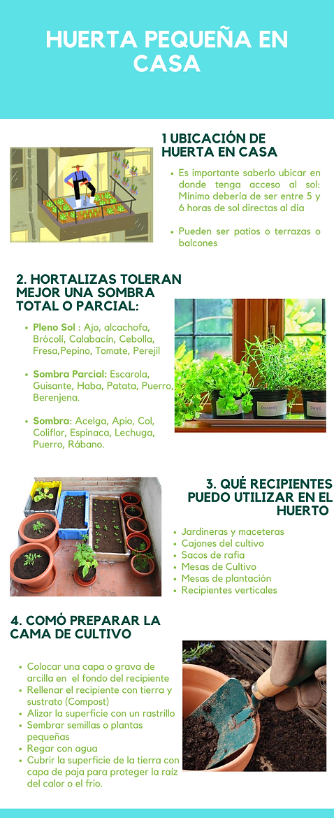 Aspecto a tener encuenta para elaborar u