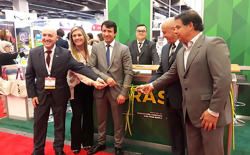 Cópia de Cópia de cursos on-line (20)_edited.jpg