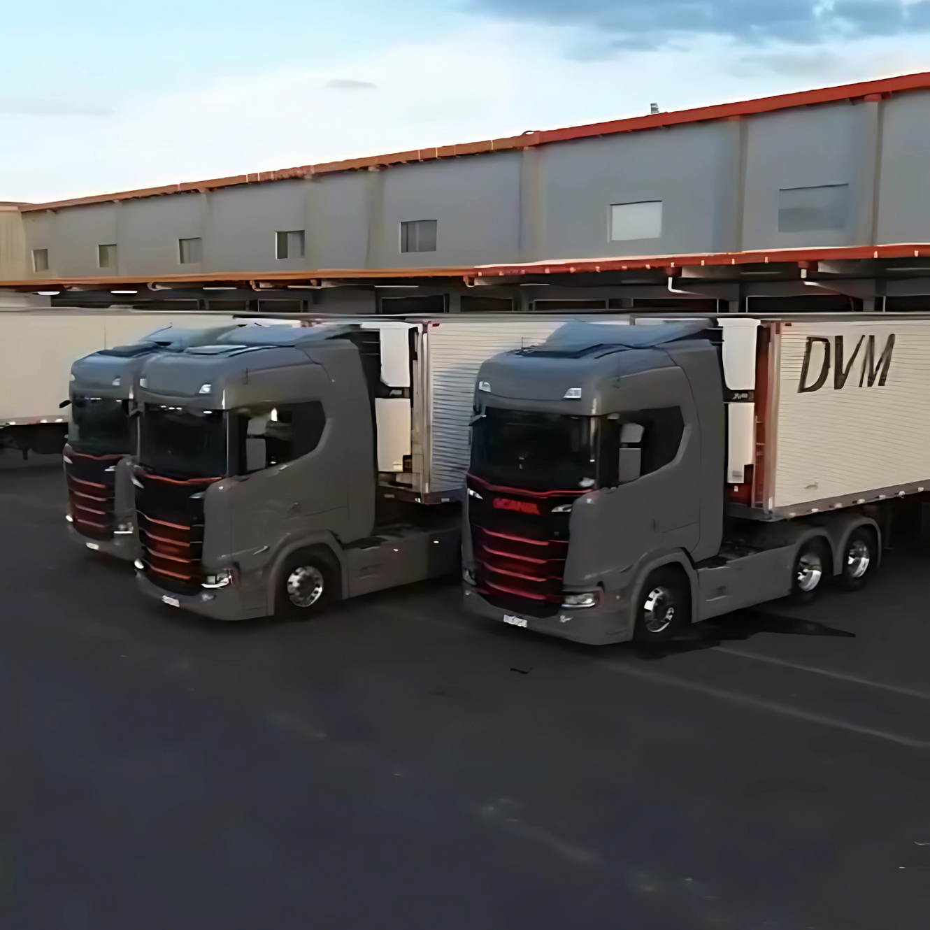 Dvm da Silva Transportes Ltda