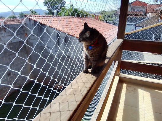 redes de proteção para gatos em jundiai jund proteções