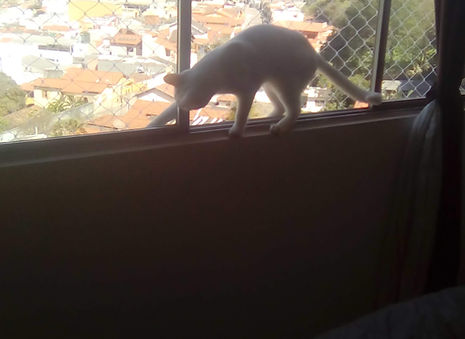 REDES DE PROTEÇÃO EM JUNDIAI