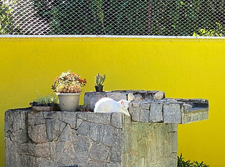 redes de proteção para gatos em jundiai