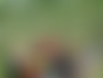 🌳 eSCHOOL TRIP 2025 | PHONG NHA – QUẢNG BÌNH