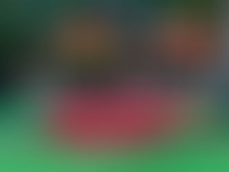 ESCHOOL CHRISTMAS FAIR 2024