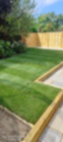 Garden landscaping - new grass
