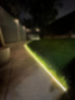 Private garden with side lights in London