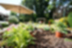DSC00227.jpeg