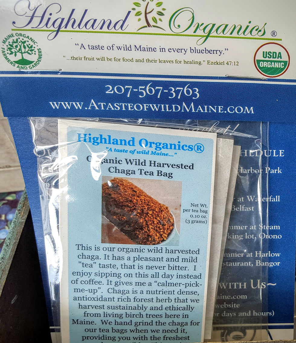 Thumbnail: Just Chaga Tea Bag