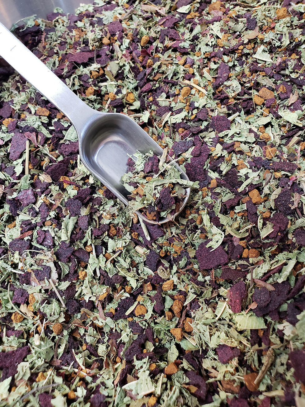 Thumbnail: Blue Chaga Cool Tea Bags
