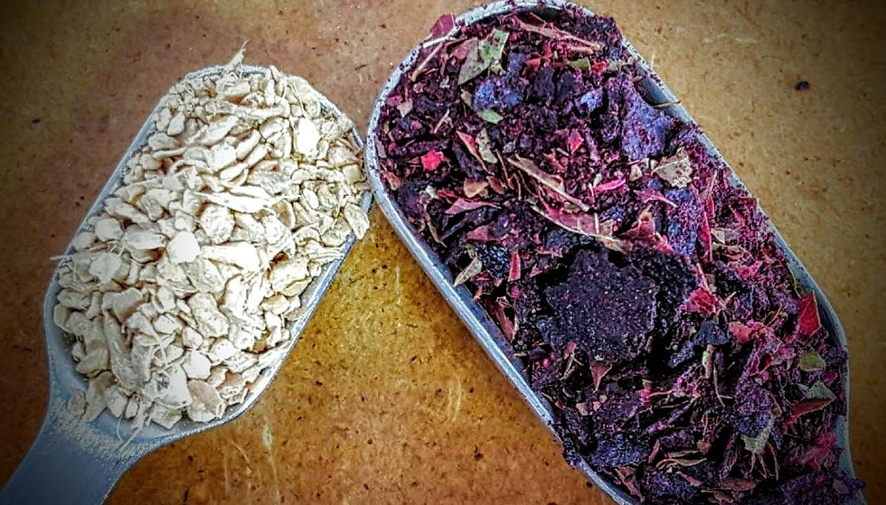 Thumbnail: Blueberry Tea Bag Variety Pack
