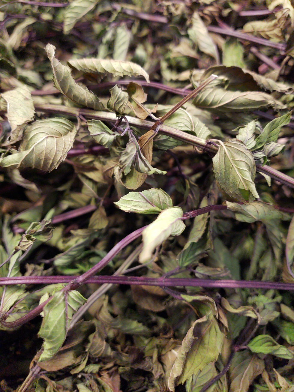 Thumbnail: Cocoa Mint Tea Bag