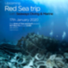 dive-centre-JPEG (6) (1).jpg