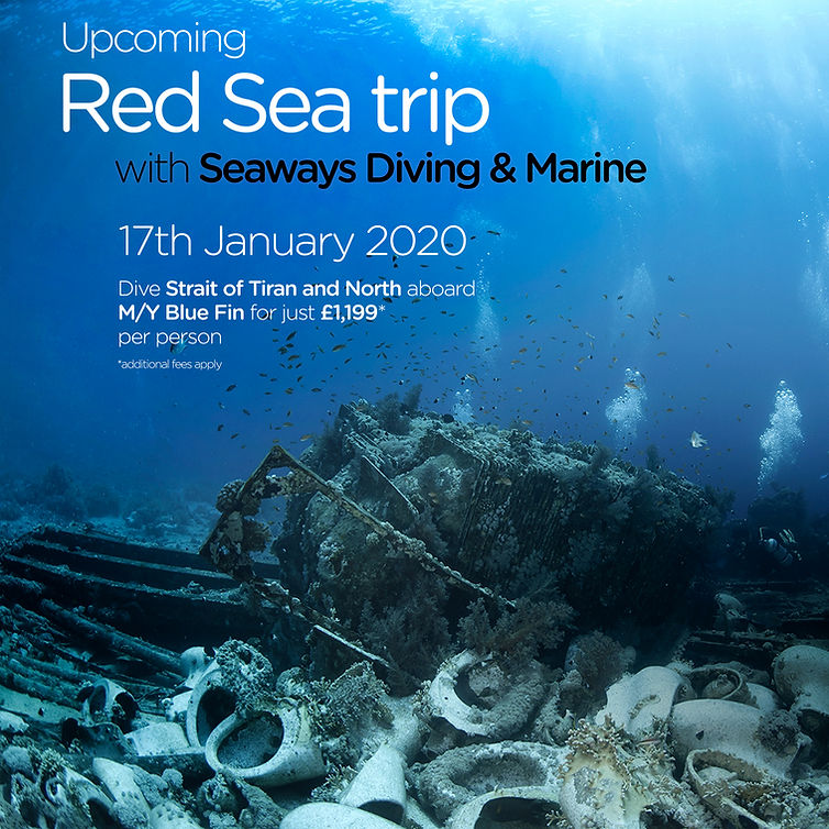 dive-centre-JPEG (6) (1).jpg