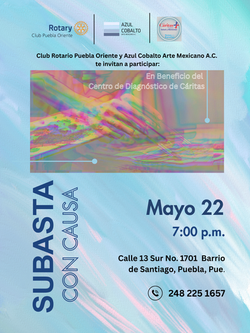 Subasta con Causa - Mayo 2025