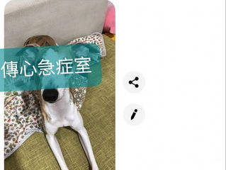 人肉探測機🐈🐕🐱🐶🐰🐇🐦🐍🦔🕊🐠🐞🐝🐛🕷