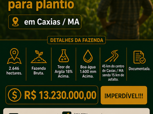 FAZENDA CAXIAS/MA - COD.:FOE-0105