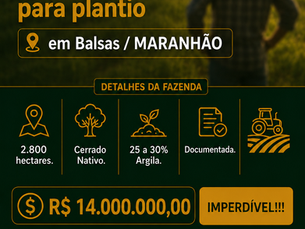 FAZENDA BALSAS - MA - COD.:FOE-0103