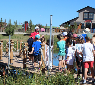 Granary Road - Park, Mini Golf & Family Attraction photo 5