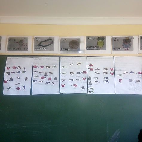 project 2.jpg